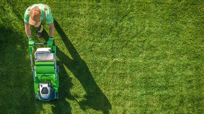 lawn service